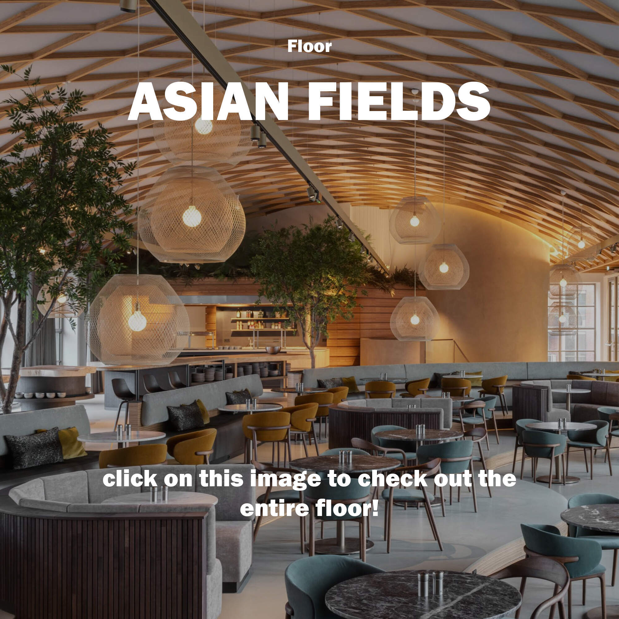 ASIAN FIELDS engels