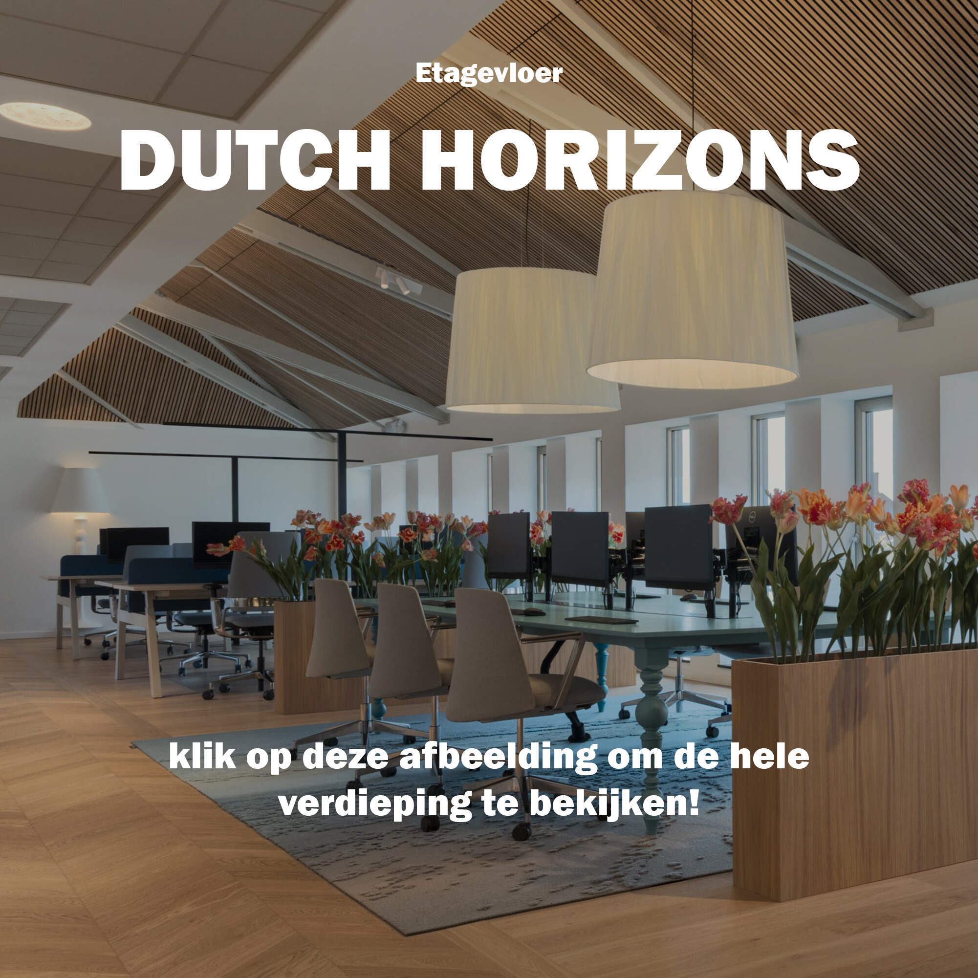 DUTCH site